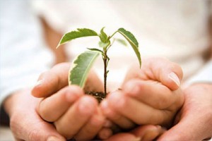 den-dobryx-del-25-marta