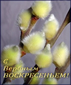 obryady-primety-gadaniya-i-tradicii-verbnogo-voskresenya