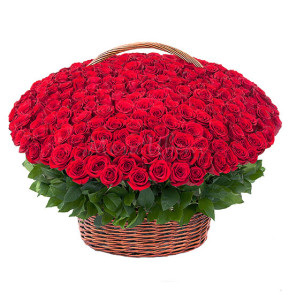 chto-podarit-lyubimoj-na-den-rozhdeniya