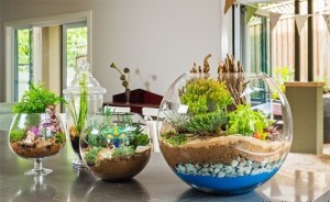 florarium