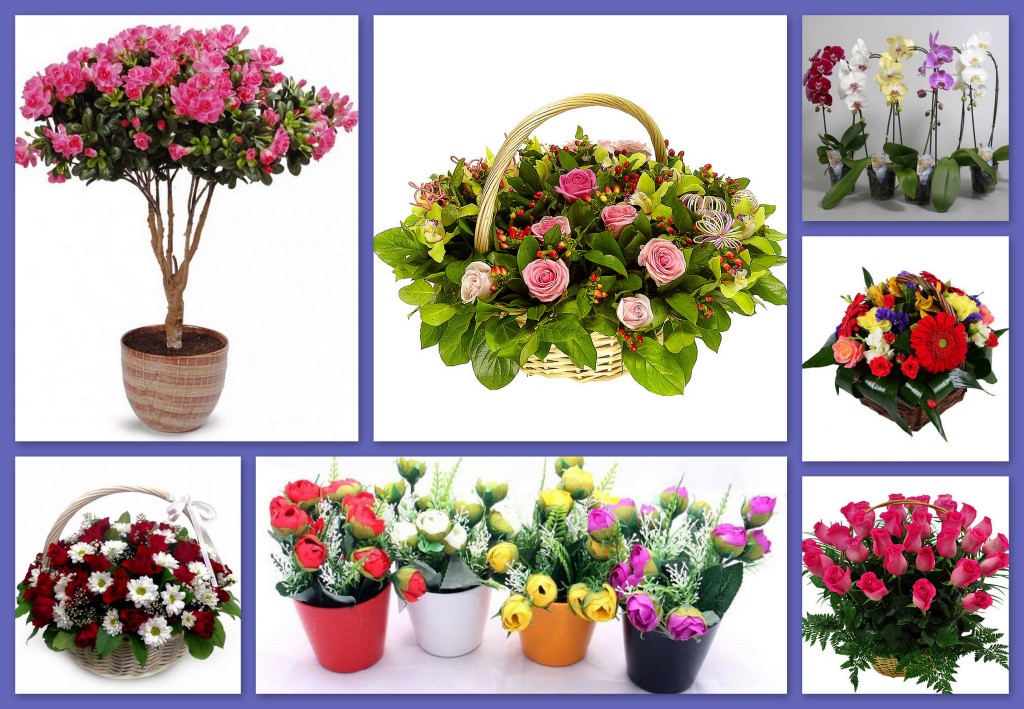 chto-podarit-zhenshhine-rukovoditelyu